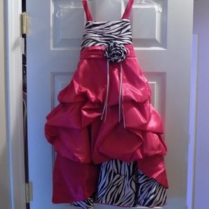 Wonder Girl Sasha Big Girls' Taffeta Zebra High